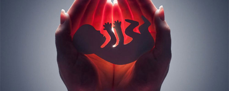 Medical Termination of Pregnancy